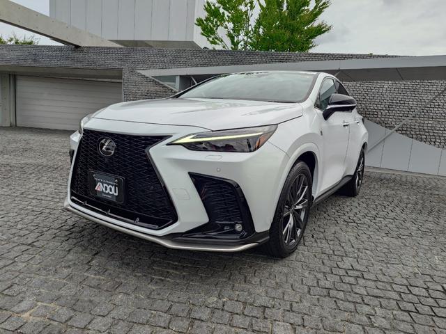 中古車 NX
