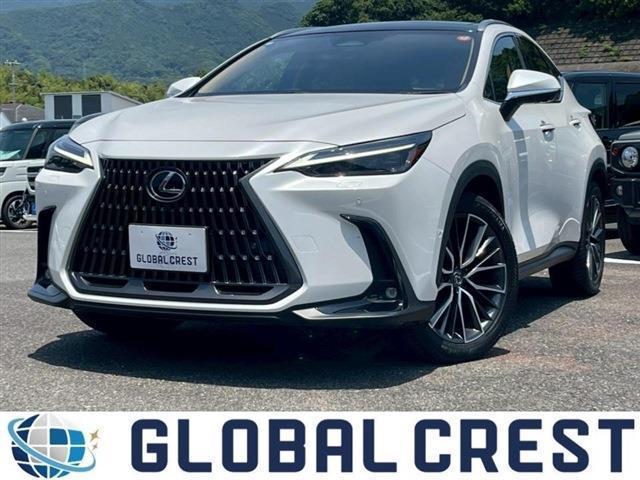 中古車 NX