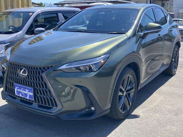 中古車 NX
